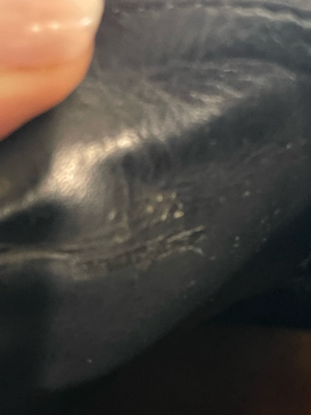Prada Black Leather Brogue Oxfords - Picture 9 of 16